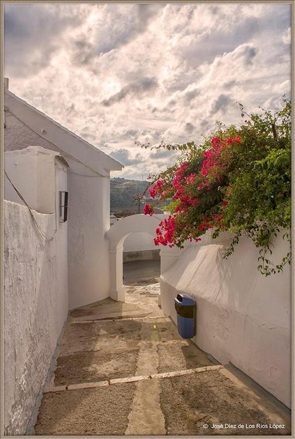 Гостевой дом Casa Angelita Caminito Del Rey, Duplex Con Terraza En El Centro De Andalucia Valle de Abdalagis Экстерьер фото