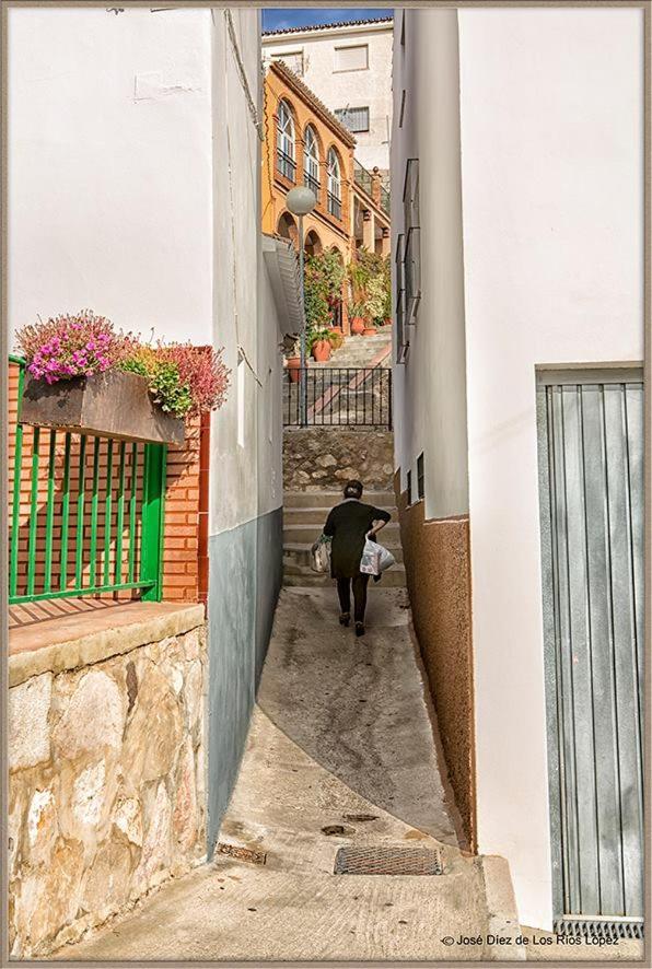 Гостевой дом Casa Angelita Caminito Del Rey, Duplex Con Terraza En El Centro De Andalucia Valle de Abdalagis Экстерьер фото